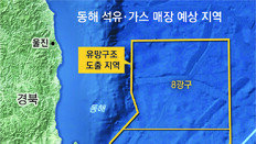 정부 “탐사 성공률 20%”… 전문가 “시추해 볼만” “경제성 불확실”