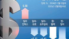 원화 가치는 올들어 8% 가까이 떨어져… 日이어 낙폭 2위