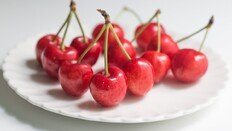 하루 두 잔 ‘이 주스’…장 염증 6주 만에 40％ 감소