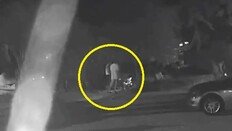 비비탄 쏴 남의 반려견 죽인 해병대원 부모, 피해자 찾아가 ‘너희들 다 죽었다’ 위협