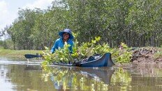 맹그로브 숲 복원부터 수소 에너지 전환까지…지구 위한 지속적인 여정 [콜렉티브 임팩트]