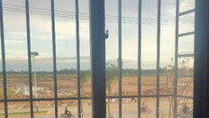 [단독]“月 1000만원 알바에 낚여… ‘개밭’에 갇혀 노예처럼 일했다”