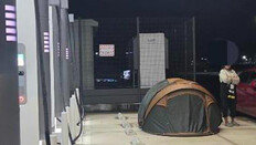 양양 전기차 충전소에 텐트 치고 개 풀어놓은 민폐女 [e글e글]