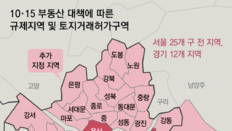 서울-분당-과천 갭투자 못한다