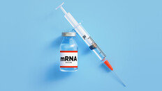 “코로나19 mRNA 백신, 면역치료 병용 시 암 환자 생존율 두 배 증가”