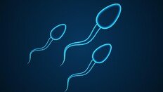 남성 나이 많을수록 정자에 ‘해로운 유전자’ 늘어난다