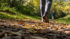 “4000보면 꽤 많이 걷는 것…주 3일 걸으면 사망 위험 40% ↓“