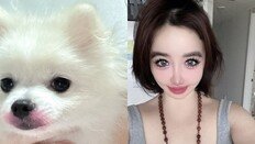 박봄, 천문학적 금액 속 YG 양현석 고소 직후 올린 게시물은