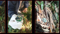 입 찢어지고 파편 폐·심장 관통…전자담배 폭발로 태국 40대 사망