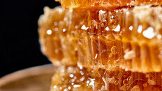 ‘천연당’ 꿀·메이플시럽은 설탕보다 덜 해로울까?