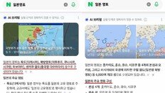 네이버 AI, ‘독도 일본 영토’ 표기 논란…“외무성 자료 자동반영” 해명