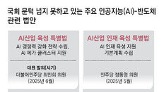 국회서 발목잡힌 AI 법안 27개… ‘AI 산업 인재육성 특별법’ 등 늦어져