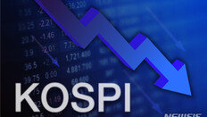 코스피, 장중 3900선 무너져…뉴욕발 ‘AI 거품론’에 연일 출렁