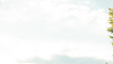 “하루 40분 걷기, 위·췌장·대장암 위험 뚝”… 하버드 30년 추적 연구