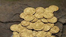 정원 손질하다 9억원 횡재…16세기 동전 70개 발견돼 경매
