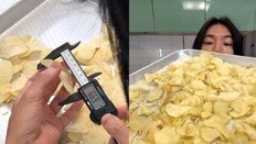 “포카칩 한봉지에 감자 0.6개” 유튜버 실험에…오리온 해명은[e글e글]