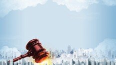 “경제형벌 3건중 1건 중복 제재… 5중 처벌까지”