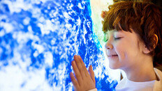 “외국어 배우면 뇌가 더 젊어진다”…노화 속도 절반되는 비법