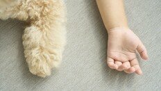 숙박업소서 낳은 아기 방치·시신 유기 커플…징역 7년