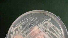 “헬스장서 맨발 샤워 마세요”…바닥에 세균 바글바글