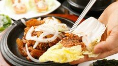 “네 가지만 기억하자”…김장 성공 위한 ‘최고의 배추’ 고르는 법 [알쓸톡]