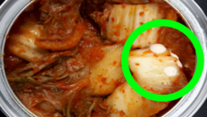 김치 위 ‘하얀 막’ 정체는? 곰팡이 아닌 ‘○○○’다 [알쓸톡]