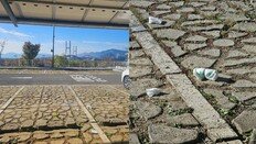 “차만 깨끗하면 OK?”…사천 케이블카 주차장서 ‘기저귀 투기’ 논란 [e글e글]