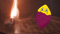 “군고구마 먹으려다 집 태울 뻔”…전자레인지에 넣으면 안 되는 ‘이것’ [알쓸톡]