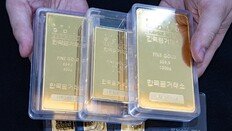 韓 200번 드나들던 일본인, 금괴 밀수범이었다…‘1톤’ 日반입