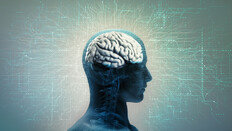 인간의 뇌, 32세가 최대 전환점…9·66·83세도 중요 분기점