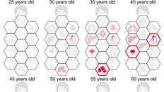 인체 노화, 50세 전후에 급속 진행…대동맥 쇠퇴가 가장 뚜렷