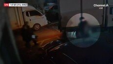 “개랑 놀다 다쳤다” 했는데…16개월 아이 온몸에 피멍