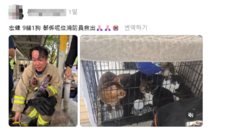 “모든 생명 지키기 위해”…홍콩 화재 속 반려동물 10마리 품은 소방관