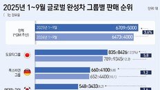‘관세 장벽’도 중국車 질주 못막아…‘BYD·지리’ 혼다 제치고 톱10