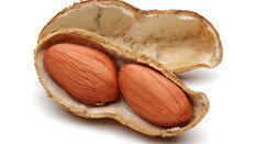 심심풀이 땅콩?…알고보니 치매 예방에 효과!