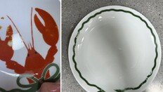 “잉크 지워진다” 랍스터 접시 논란에…써브웨이 “8000원 상품권 보상“