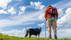 “주 2회·회당 20분”…‘치매 예방 최소 운동량’ 과학적 확인