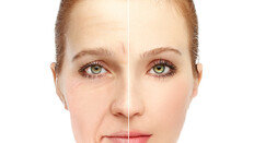 “노쇠 수컷 쥐 수명 70% 연장”…두 약물 조합, 현대판 ‘불로초’ 될까?