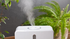 가습기, 독감 예방에 얼마나 효과 있나? 과학이 밝힌 진실