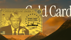 “15억 내면 美영주권 초고속 발급” 트럼프 골드카드 접수 시작