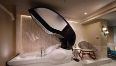 “씻는 것도 귀찮다” 인간 세탁기 日호텔에 최초 등장 (영상)