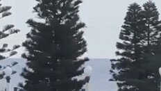 호주 시드니 본다이 해변서 총기 난사…10명 사망