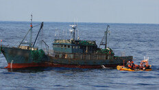 정선 명령에 쇠창살 설치 후 도주 중국어선…해경 2척 나포