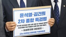 與, 2차 종합특검법 발의 “156명 투입-170일 수사”