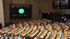 與 ‘내란재판부법’ 강행 처리… 여전한 위헌 논란