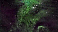 가장 큰 크리스마스 트리는?…폭 757조km ‘입이 쩍!’