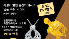 “김건희, 역사책에서나 볼 매관매직… 대통령 아닌 金 찾아가 청탁”