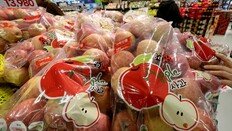 사과값 19.6% 껑충… 고환율속 새해 물가 비상