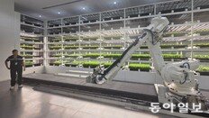 싱가포르 혁신금융이 키운 스타트업… 日 NTT도 투자금 들고와