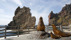 ‘바가지‘ 오명 울릉도, 작년 관광객 10% ‘뚝↓’